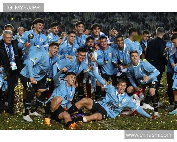 2010年世界杯乌拉圭与韩国激战回顾两队精彩表现与历史交锋分析