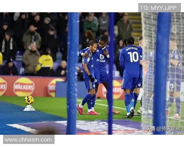 2017年莱斯特城对阵西布朗的精彩对决回顾与分析